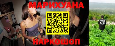 индика Пенза