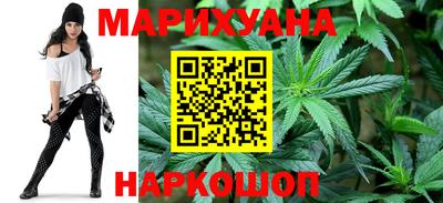 индика Пенза