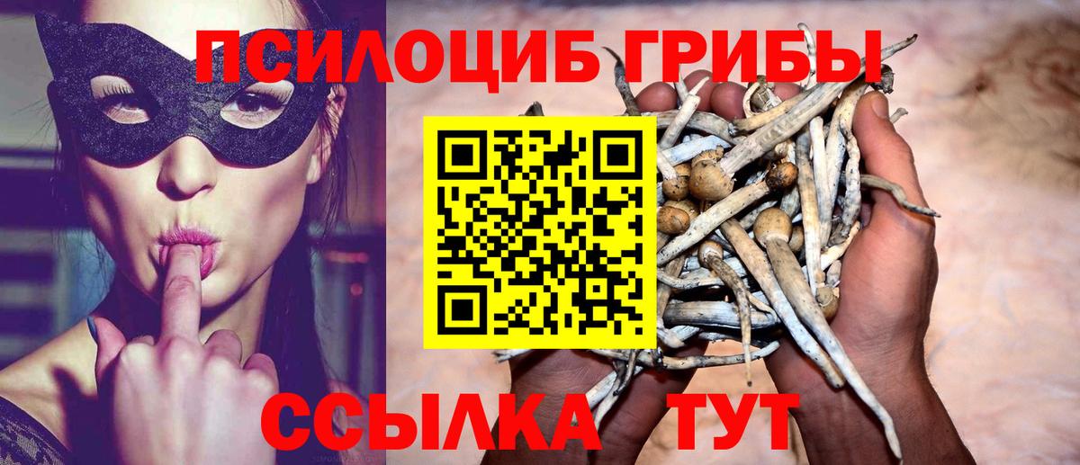 Псилоцибиновые грибы Magic Shrooms Нижневартовск