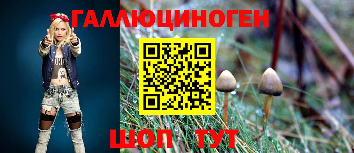 Нижневартовск  Псилоцибиновые грибы GOLDEN TEACHER  Вход с VPN  Галлюциногенные грибы прущие грибы 
